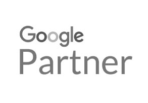 Google Partner logo