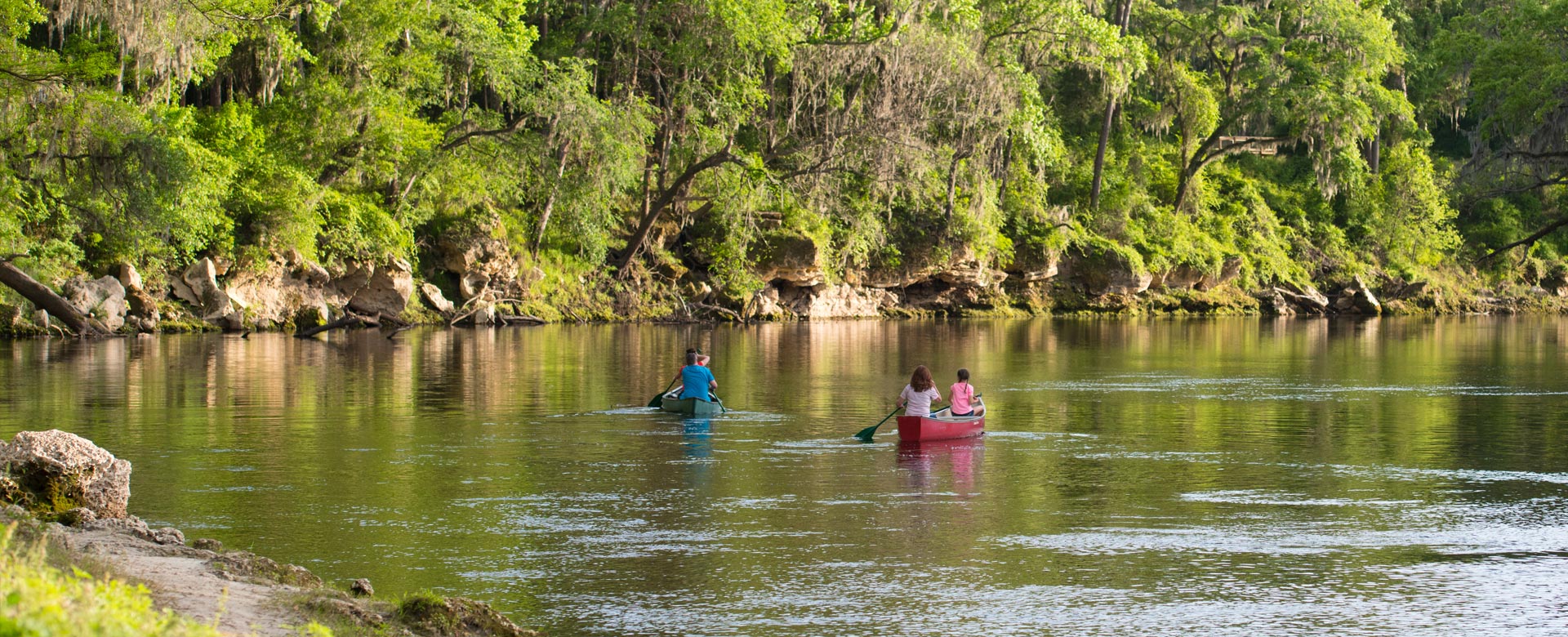 Two canoes with two people in each in the middle of the Suwannee River surrounded by trees