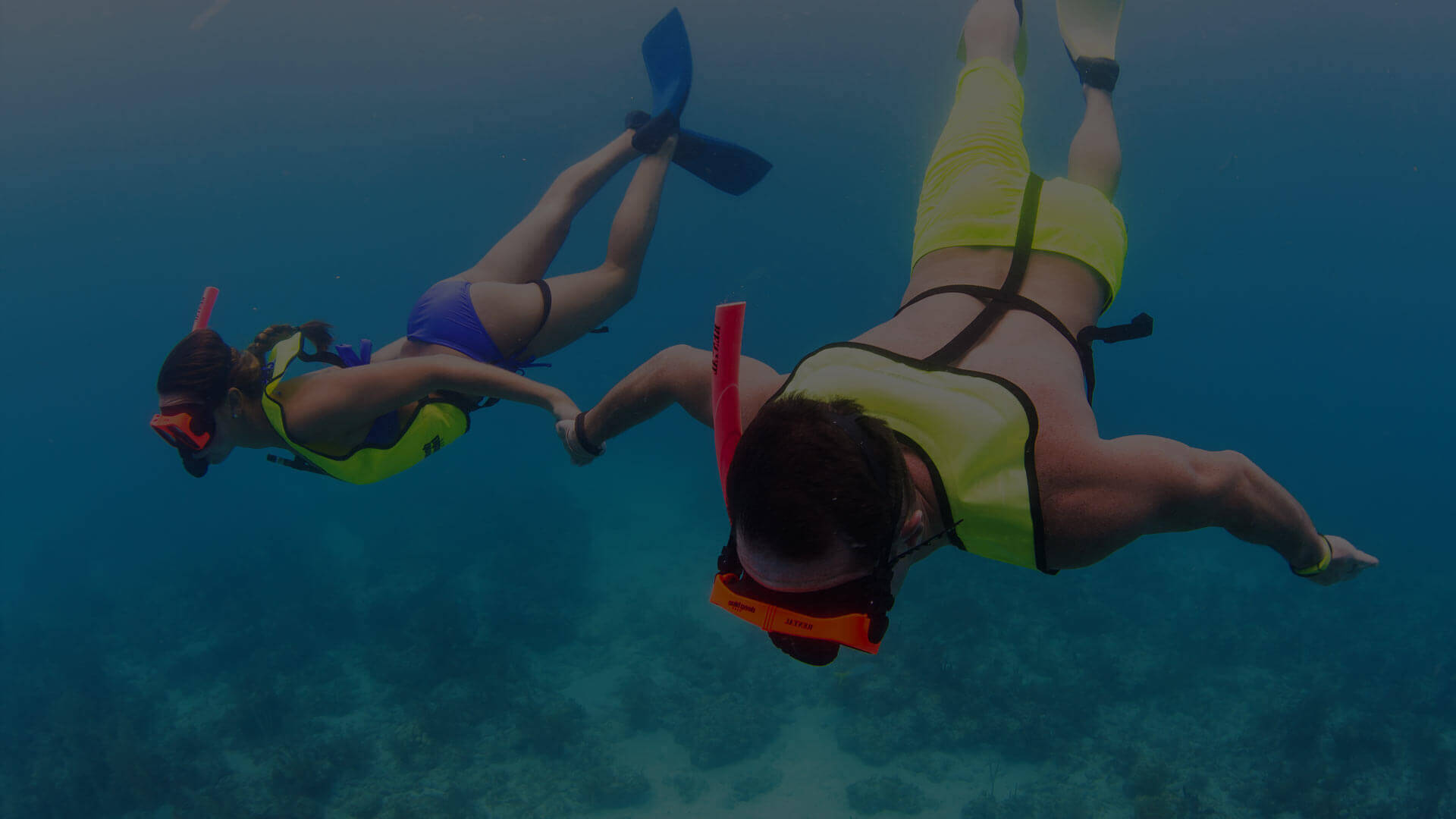 Two people snorkeling in Key West